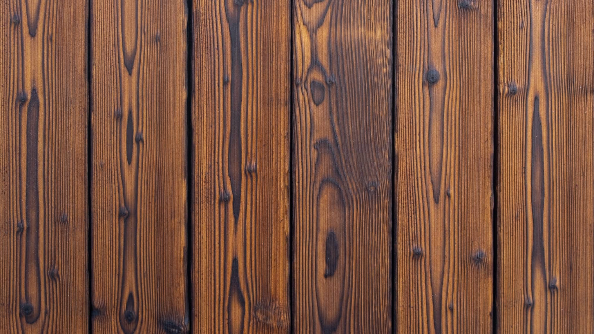 charred spruce medeksa ember