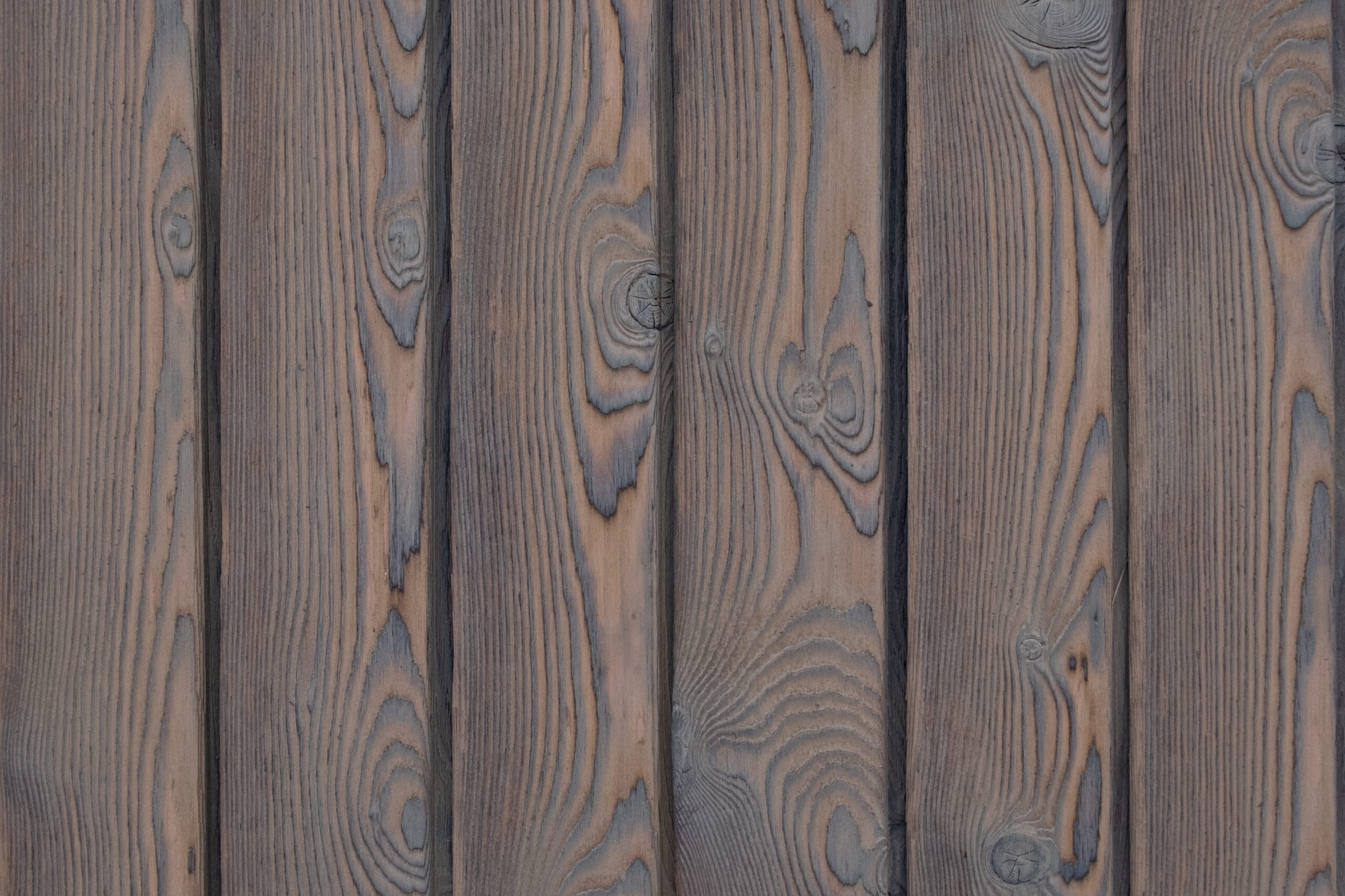 charred larch medeksa clay