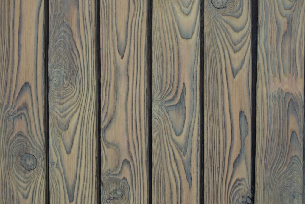 charred larch medeksa halo