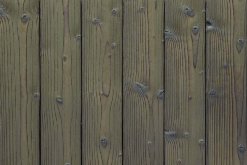 charred spruce medeksa olive