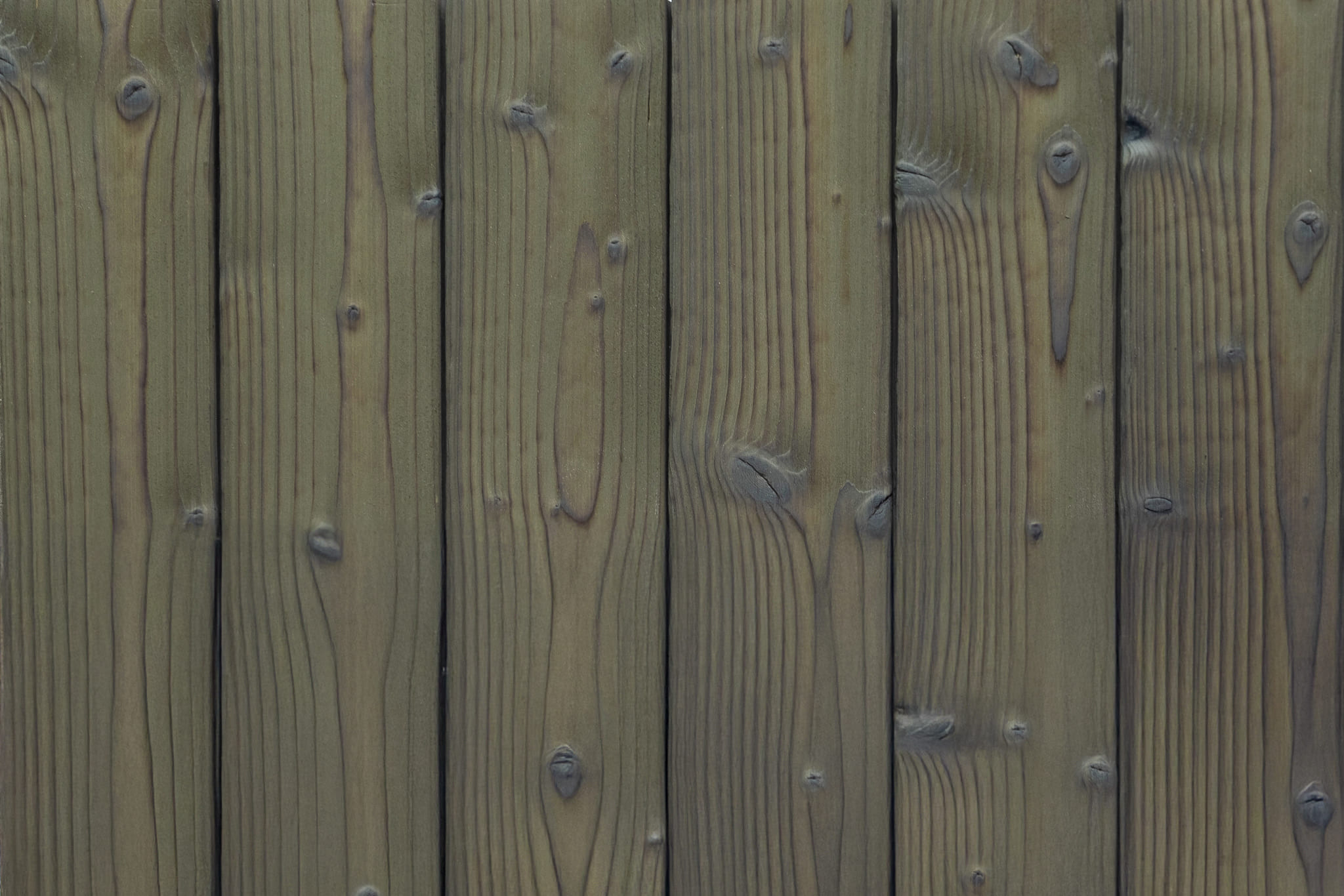 charred spruce medeksa olive