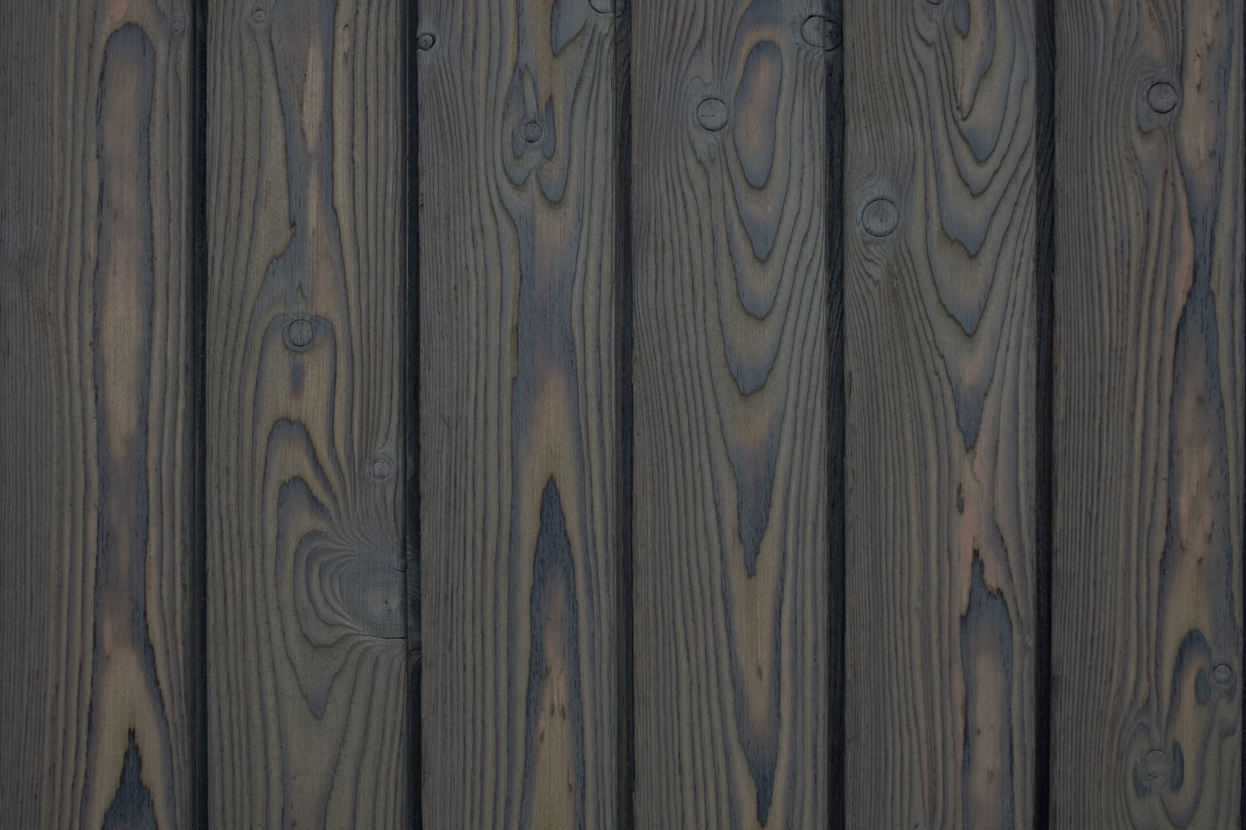 charred larch medeksa olive