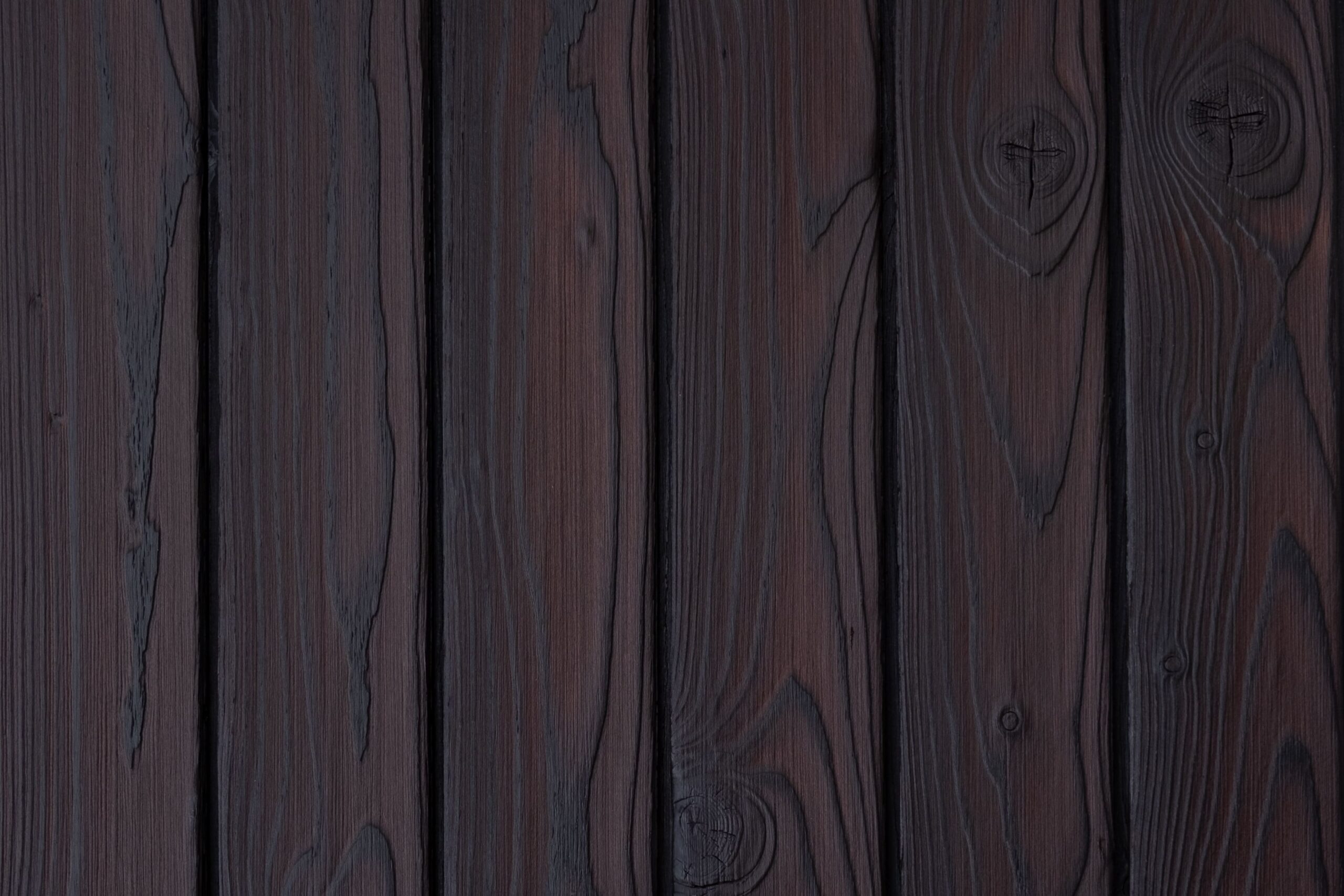 charred larch medeksa dusk