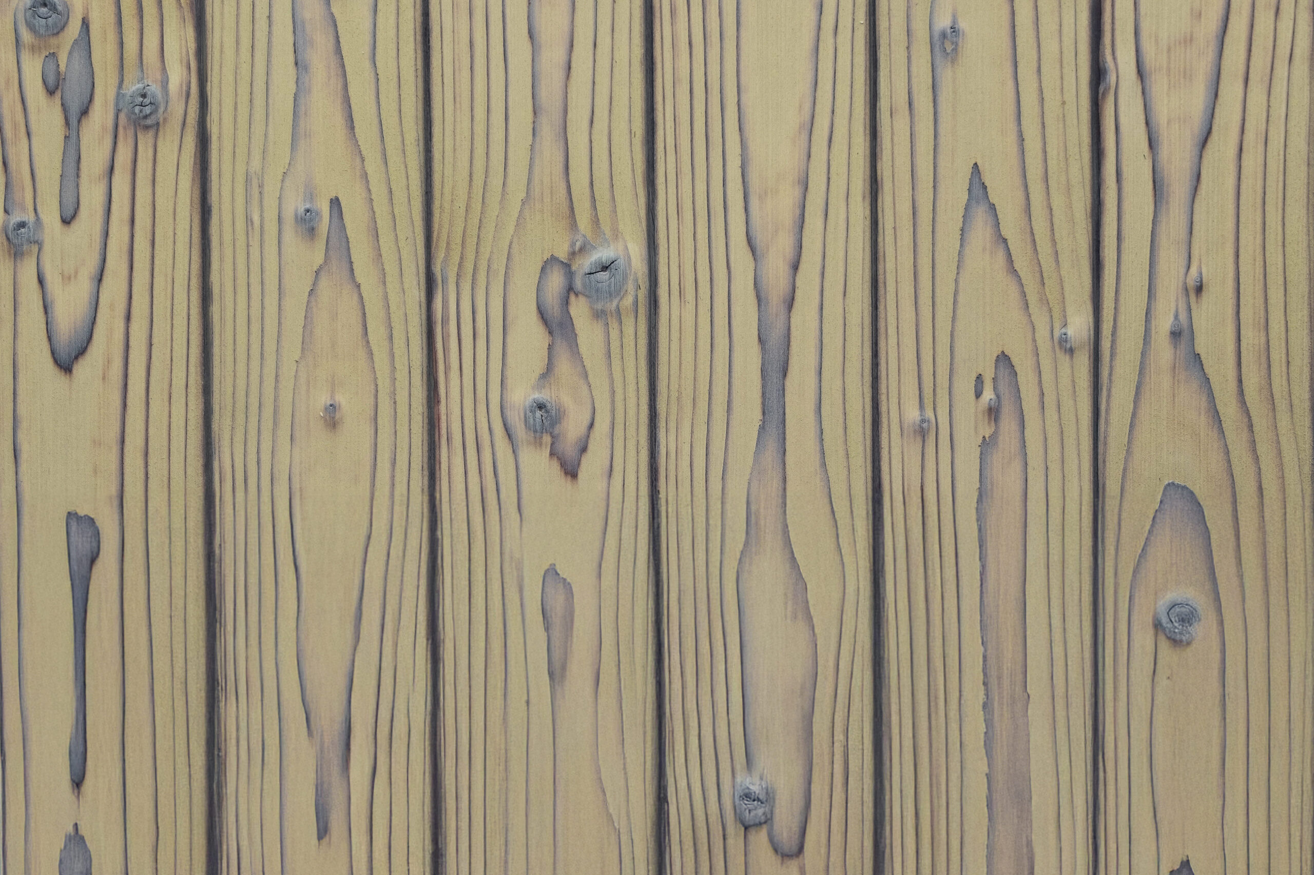 Charred wood cladding Medeksa Halo