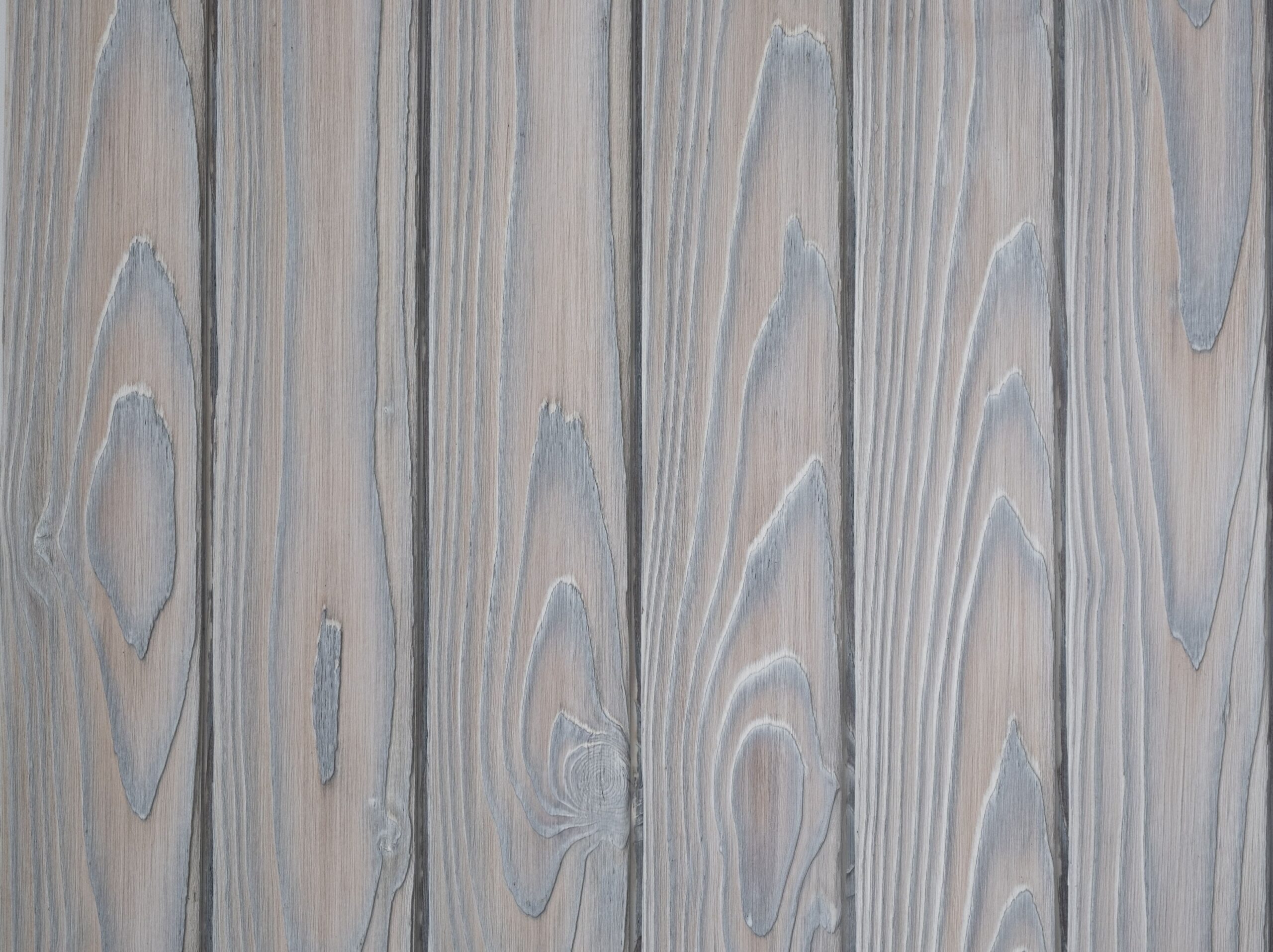 charred larch medeksa frost