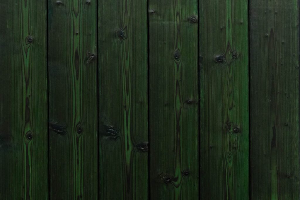 charred spruce medeksa moss