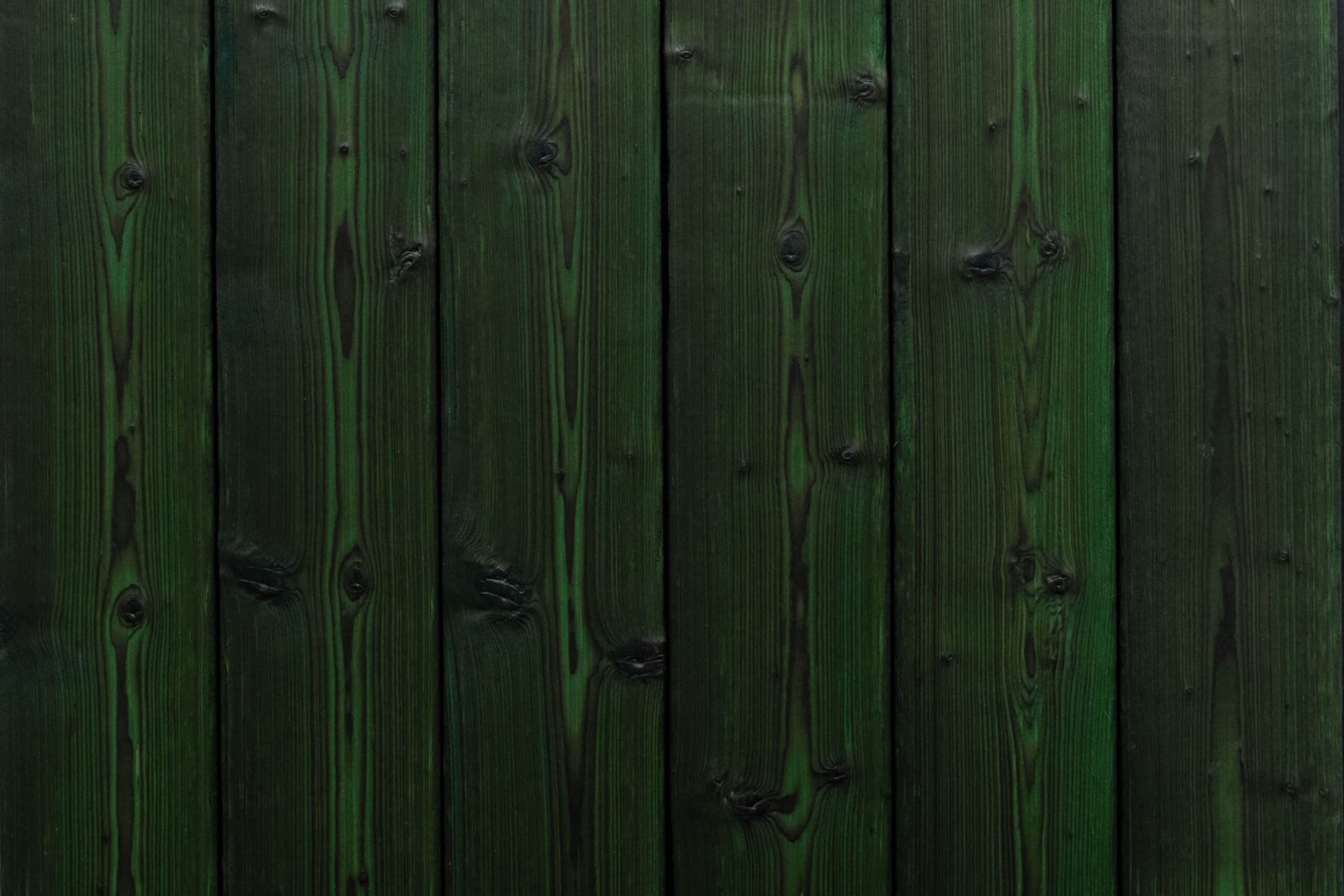 charred spruce medeksa moss