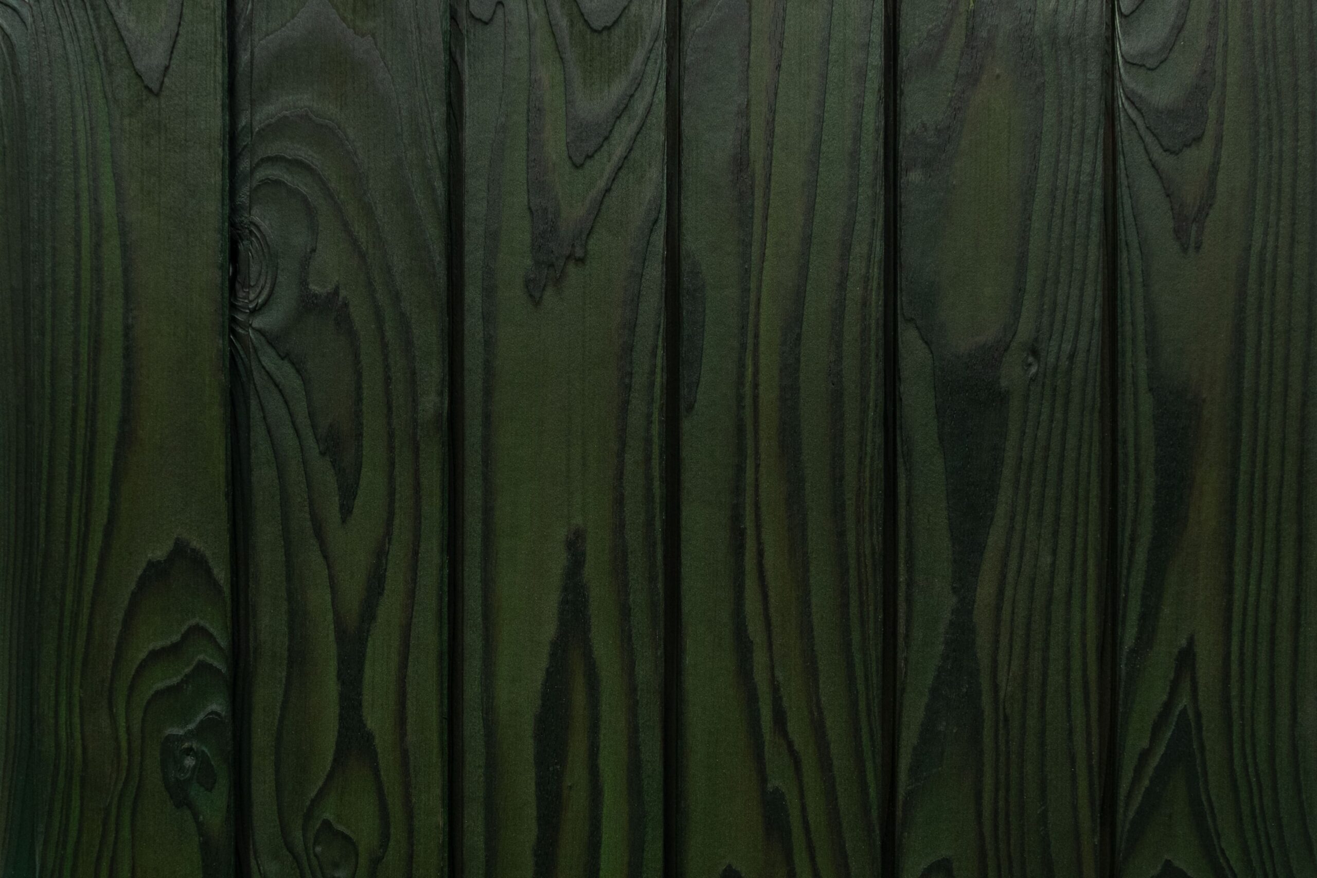 charred larch medeksa moss