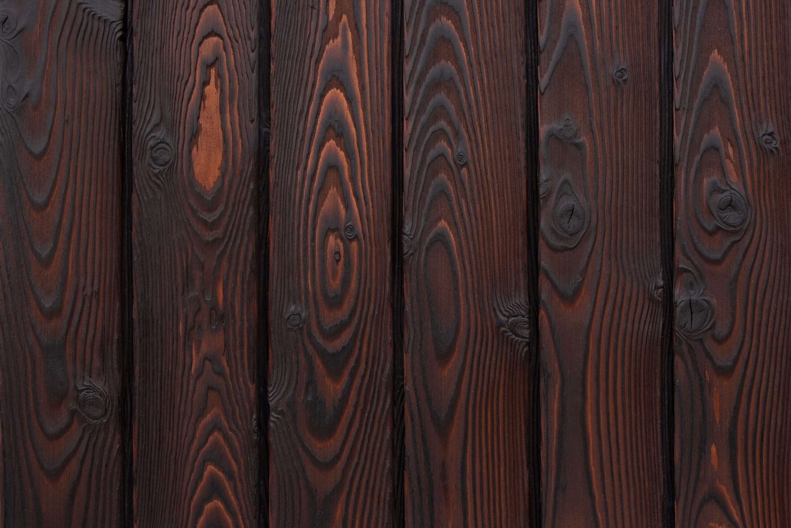 charred larch medeksa rust