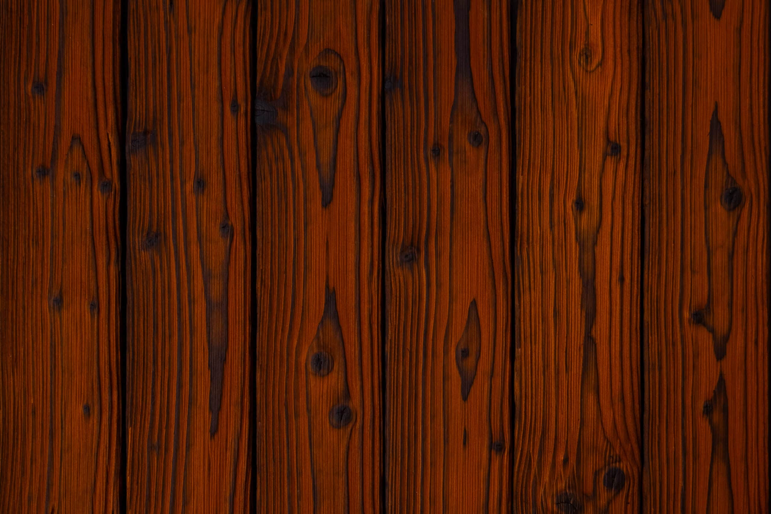 charred spruce medeksa terra