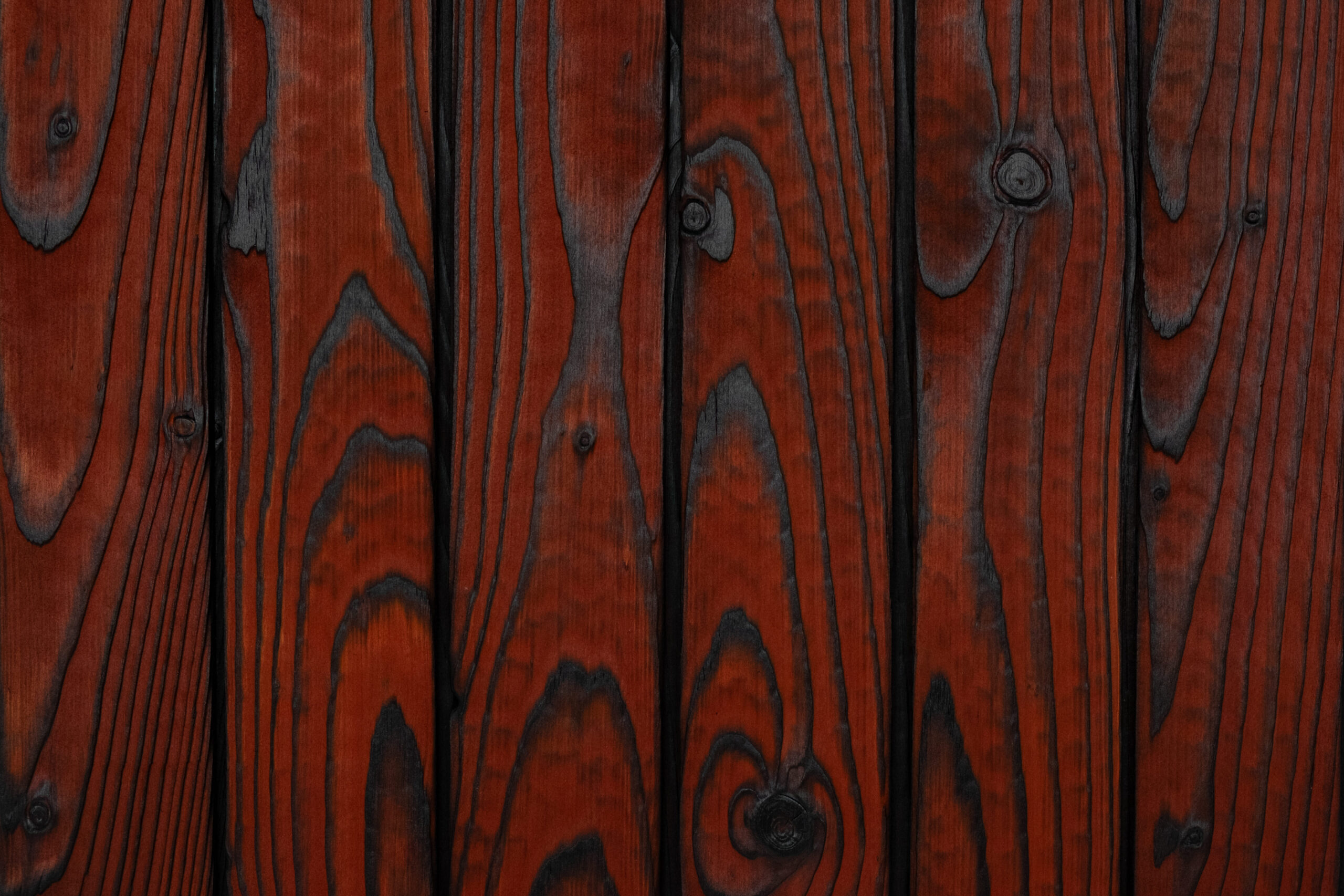charred larch medeksa terra